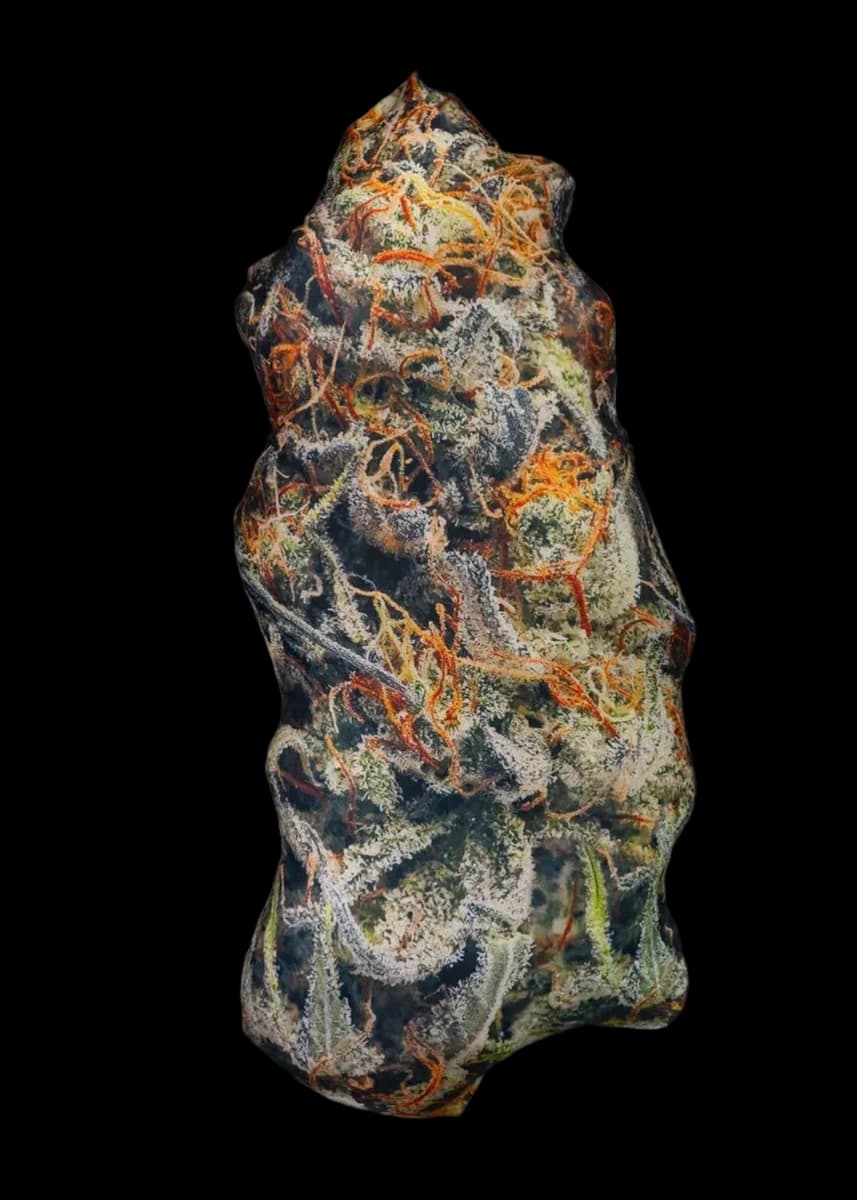 Pilloweed Cream Mandarin S