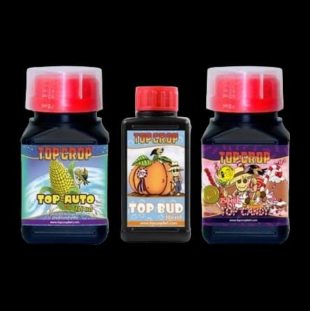 TRIPACK AUTO 600ML