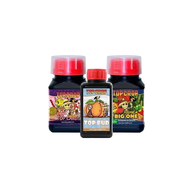 BUD PACK 600ML