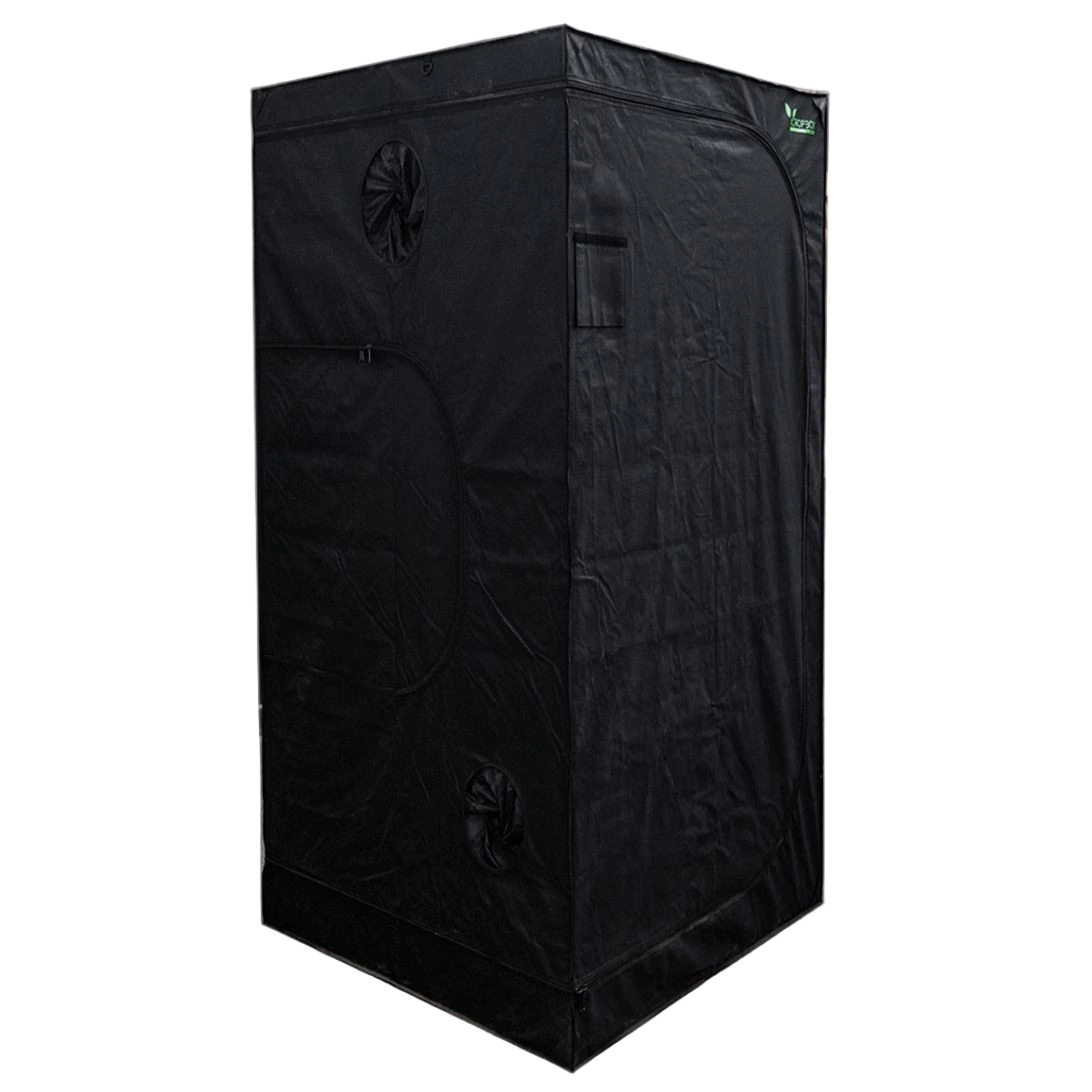 CARPA 100X100X200