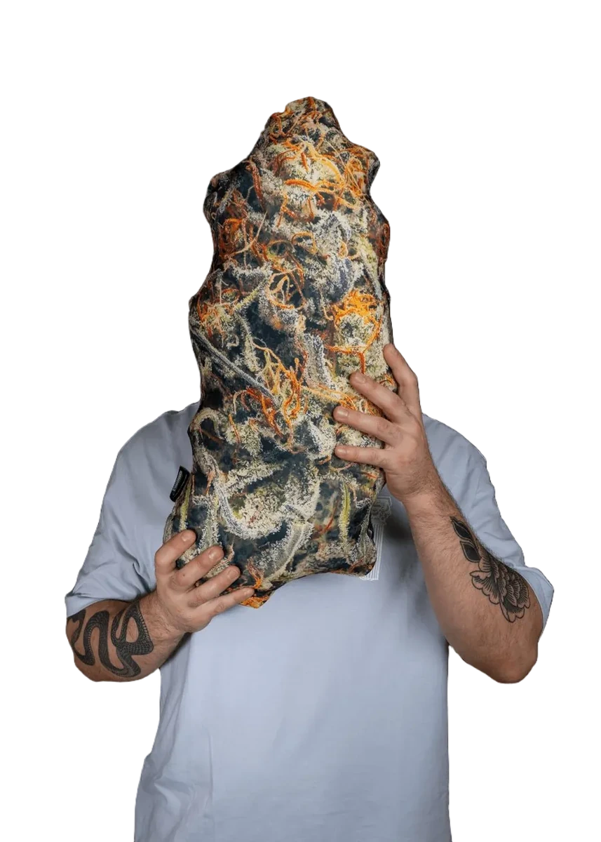 Pilloweed Cream Mandarin M