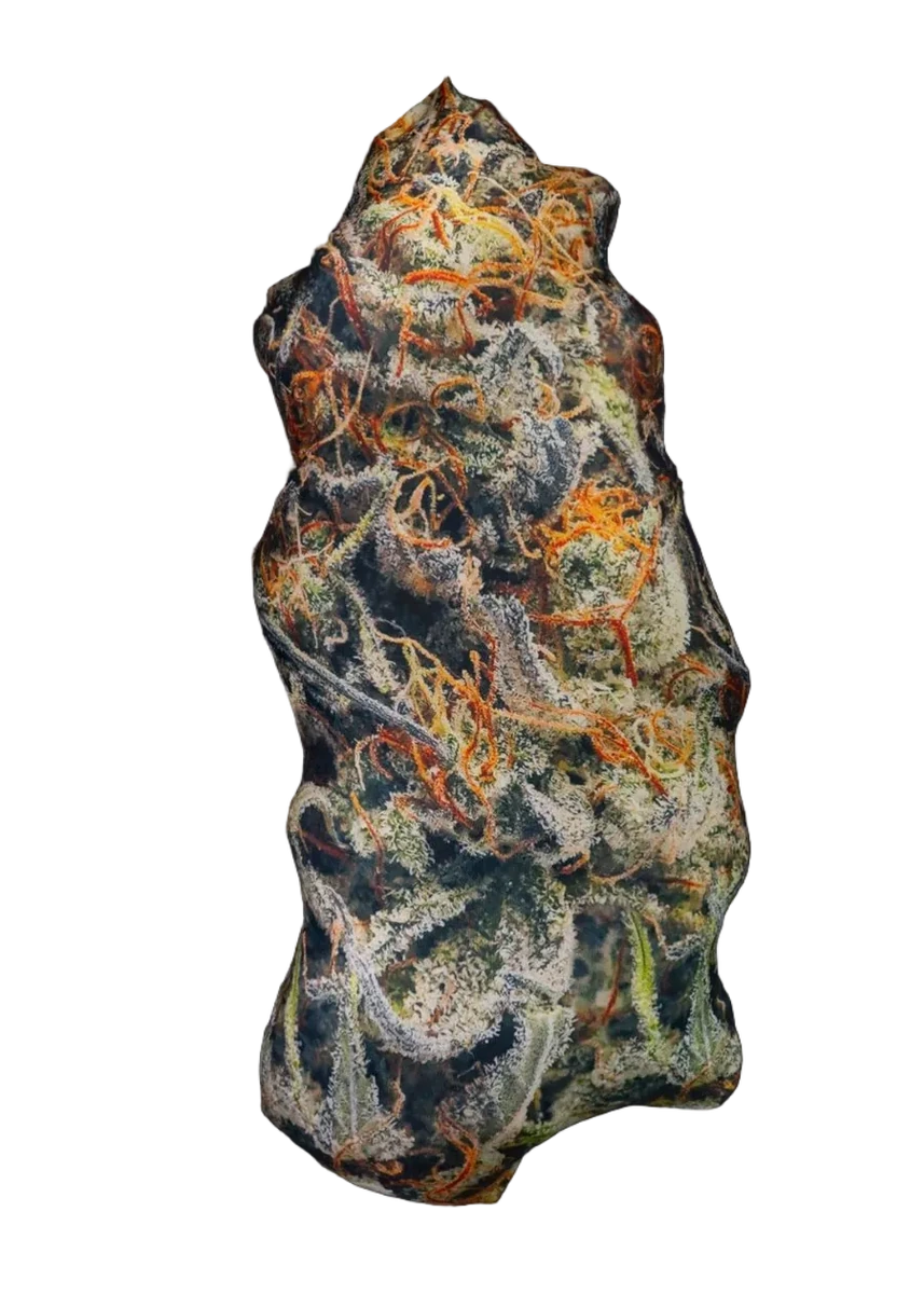 Pilloweed Cream Mandarin S