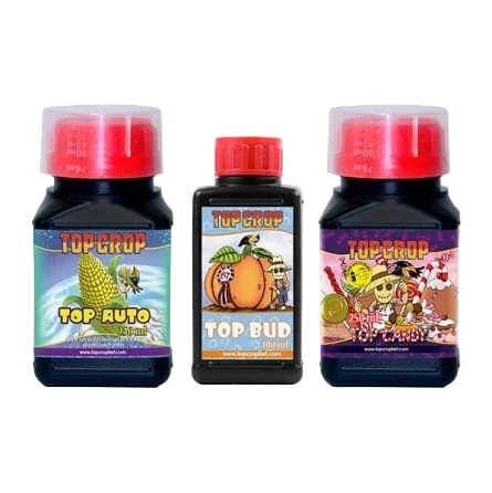 TRIPACK AUTO 600ML