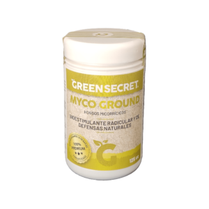 Myco Ground 125cc